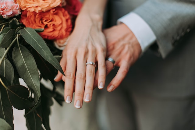 https://unsplash.com/ja/写真/RHAtRIT3-CE